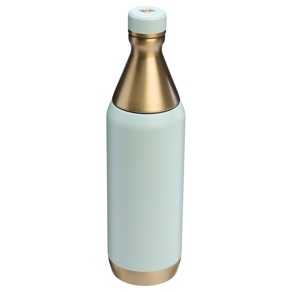 All Day Slim Bottle | 20 OZ