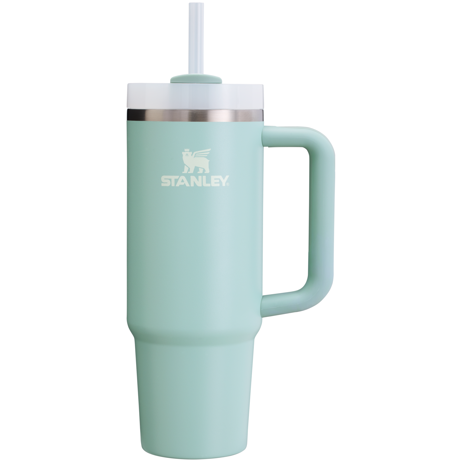 Stanley Quencher H2.O FlowState Tumbler 30 OZ in Seafoam Green